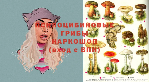 эйфоретик Волоколамск