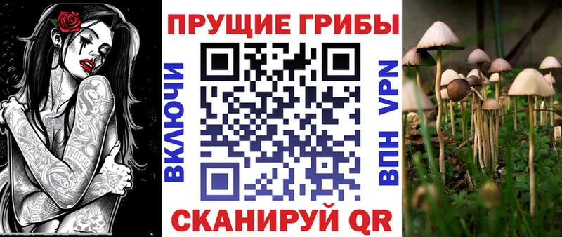 наркошоп  Ярославль  Псилоцибиновые грибы Psilocybe 