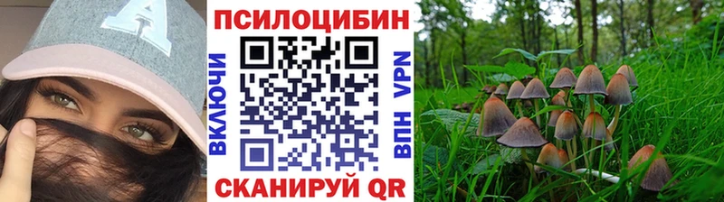 Псилоцибиновые грибы GOLDEN TEACHER Ярославль